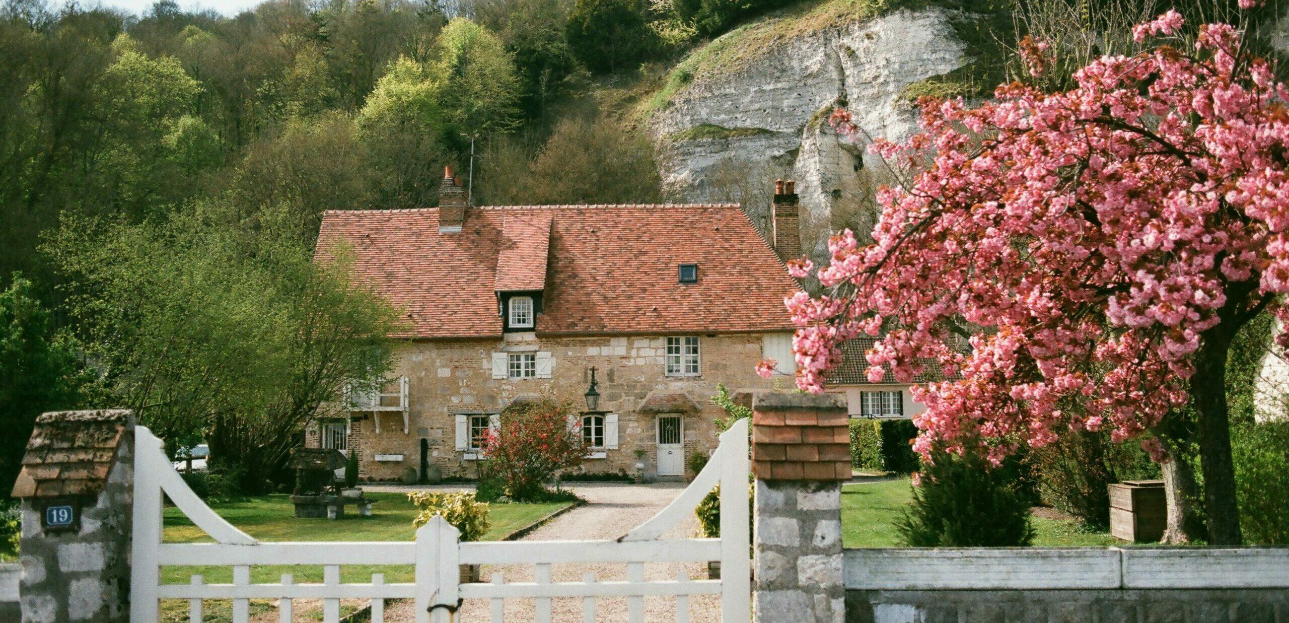 atelier lachaume-blois-olgalioncat