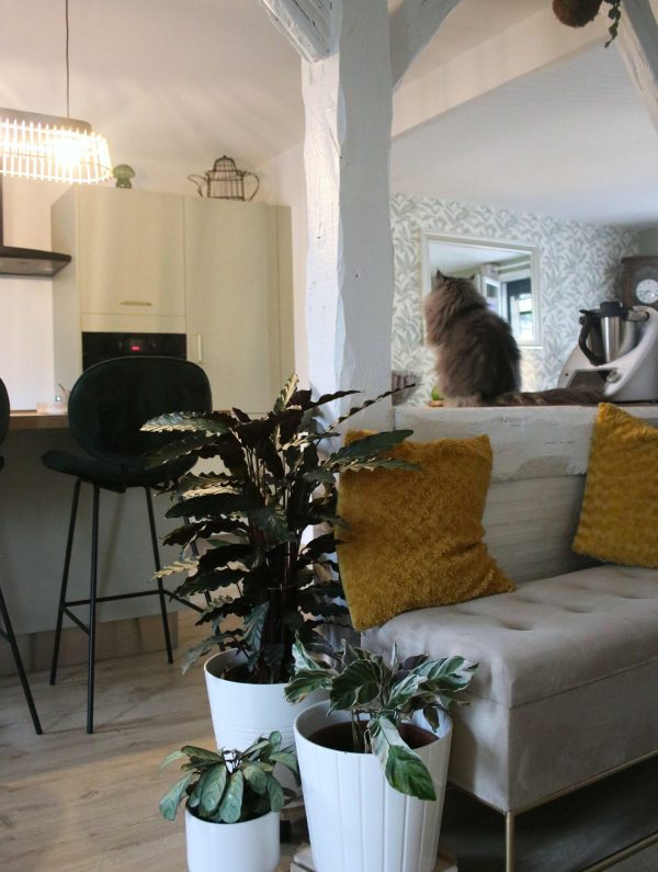 Atelier Lachaume - Projet rénovation - ONZAIN 41 (17)